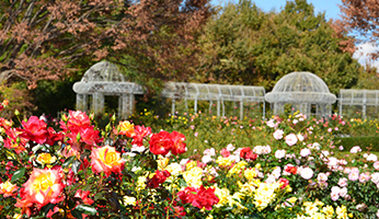 小田原フラワーガーデン