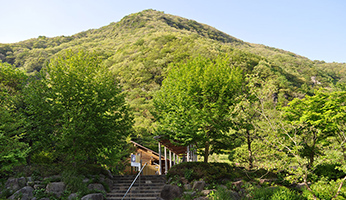 幕山公園